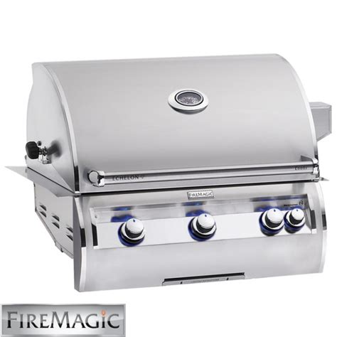 Transforming Ordinary Ingredients into Extraordinary Dishes with the Fire Magic E660